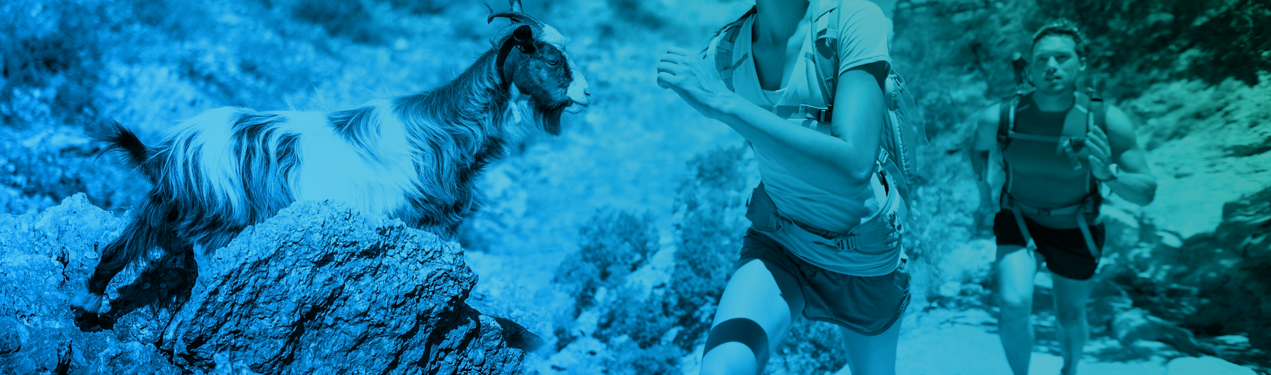 Gökçeada Ultra Trail Run